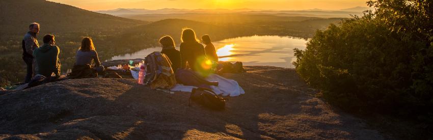 Picnics